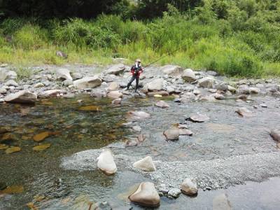 安倍川・藁科川（安倍藁科川漁業協同組合） 釣果