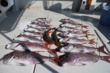 KIM Fishing Guide Ser…