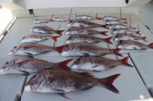 KIM Fishing Guide Ser…