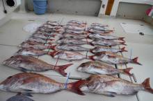 KIM Fishing Guide Ser…