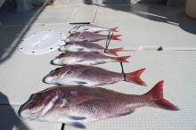 KIM Fishing Guide Ser…