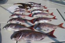 KIM Fishing Guide Ser…