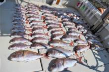 KIM Fishing Guide Ser…