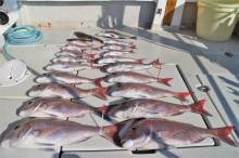 KIM Fishing Guide Ser…