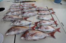 KIM Fishing Guide Ser…