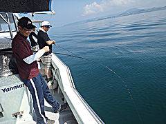 ふみ丸  釣果