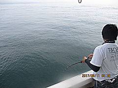 遊漁船 未紗奈 釣果