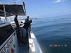 遊漁船 未紗奈 釣果