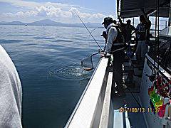 遊漁船 未紗奈 釣果