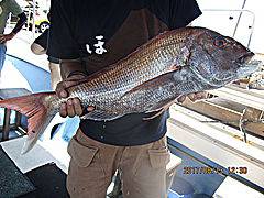 遊漁船 未紗奈 釣果