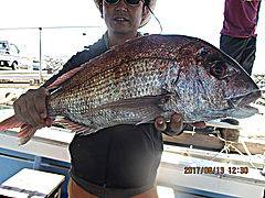 遊漁船 未紗奈 釣果