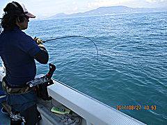 遊漁船 未紗奈 釣果