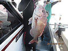 遊漁船 未紗奈 釣果