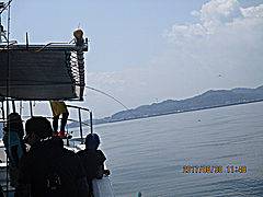 遊漁船 未紗奈 釣果