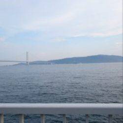 ケンサキエギング