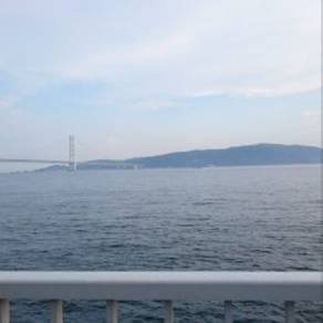 ケンサキエギング