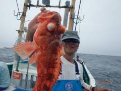 増福丸 釣果