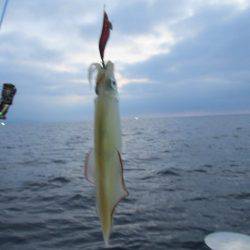 ジギング船 BLUEWATER 釣果