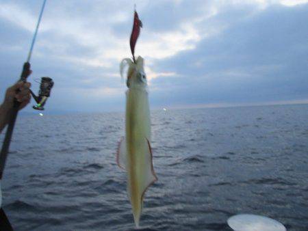 ジギング船 BLUEWATER 釣果