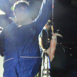 ジギング船 BLUEWATER 釣果