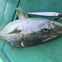広進丸 釣果