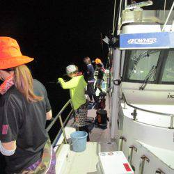 ジギング船 BLUEWATER 釣果