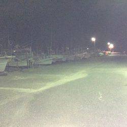 新宮港に行ってきました