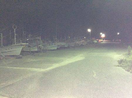 新宮港に行ってきました