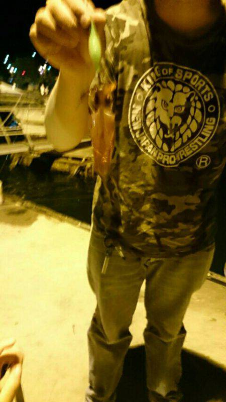 念願のケンサキ