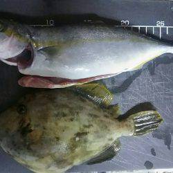 朝からまったりと