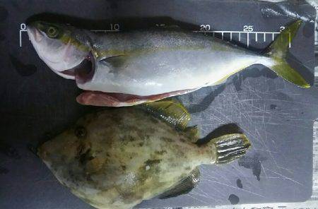 朝からまったりと