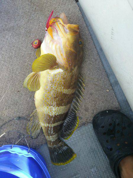 オールナイト釣行