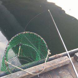 田尻で青物祭り