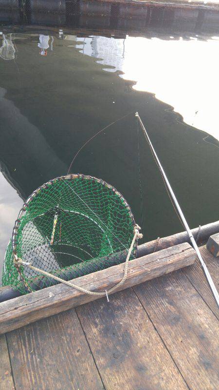 田尻で青物祭り