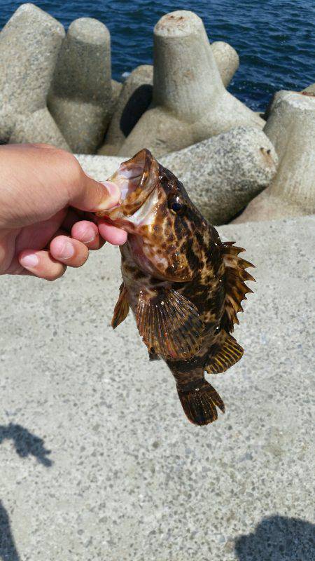 ボーッとしてたらいきなり