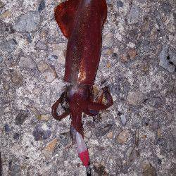 やったりましたわ〰‼