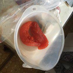 カラフトマス！