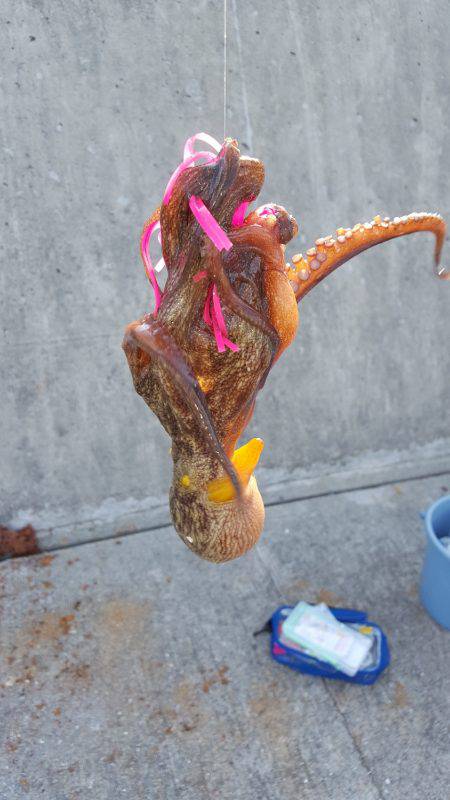 初オクトパッシング(笑)