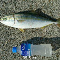 スランプ脱出？