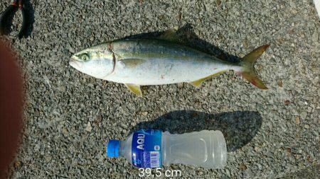 スランプ脱出？