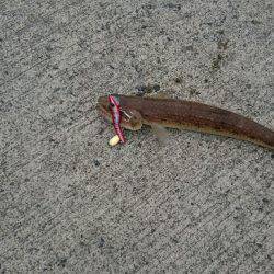 帰省途中の立ち寄り