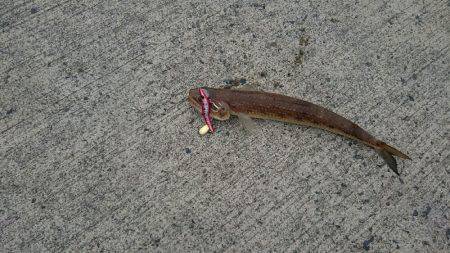 帰省途中の立ち寄り