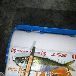 泉南から和歌山からの泉南