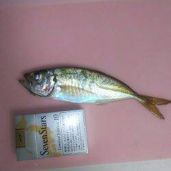 やった入れたポイントで