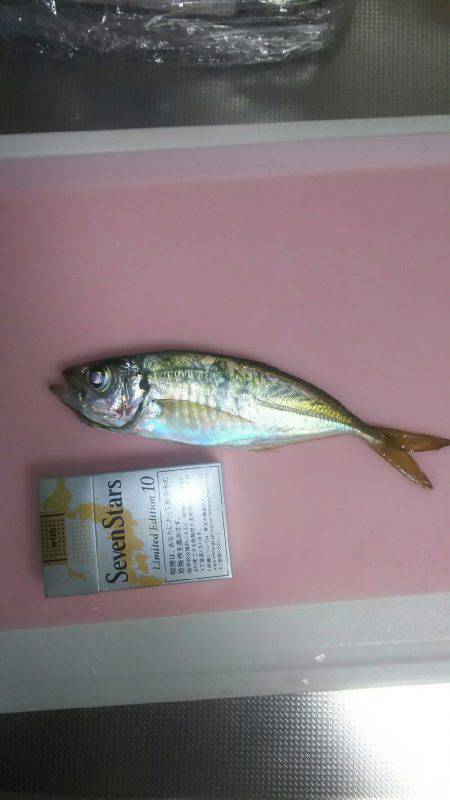 やった入れたポイントで