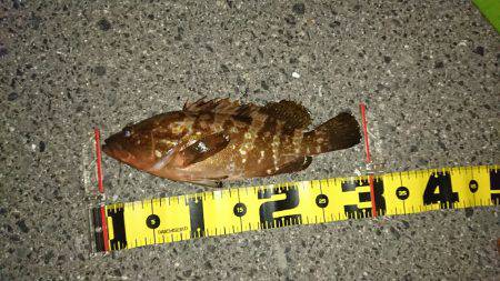 30オーバーアコウ ！