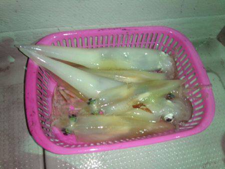 ベストコンディションからの、豪雨落雷。