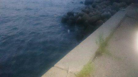 シーバスリベンジ2夜連続♪