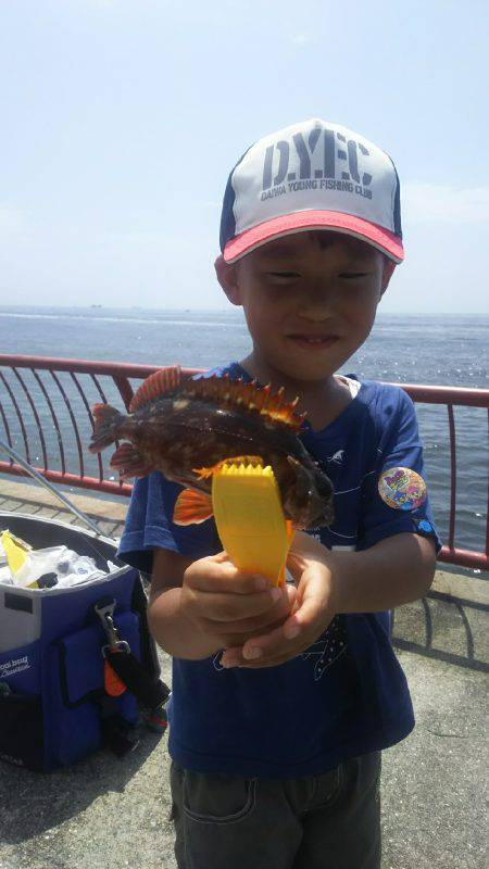 ハヤブサキッズ、イベントに参加しました！