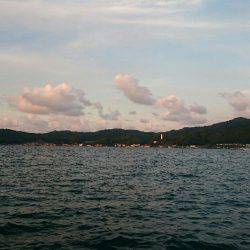 久しぶりの豆アジ釣り